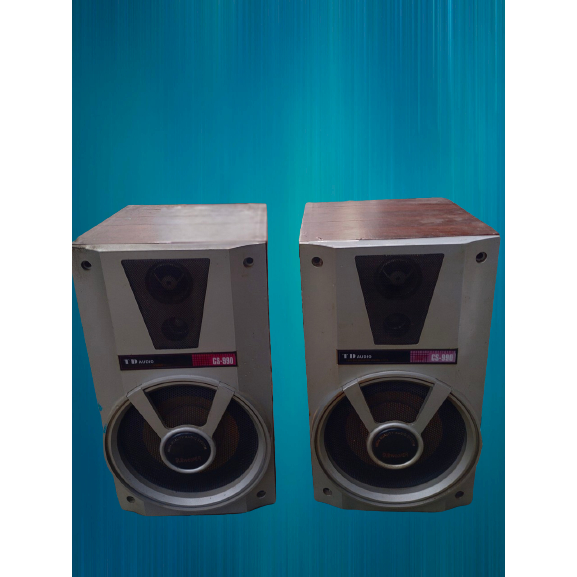 Cặp Loa karaoke giá rẻ chất lượng cao