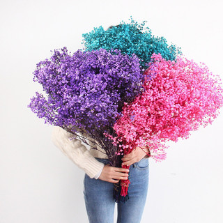 Hoa baby khô màu mới- hoa khô trang trí, decor, quà tặng, lọ để bàn, lưu niệm