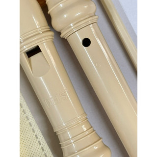Sáo học sinh Recorder DHS 8 lỗ - Tone C