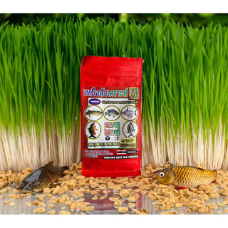 Mồi Câu Tổng Hợp, Câu Đơn Đài, Cá Chép, Cám Câu Mè Vinh, Cá Chim Thái 555