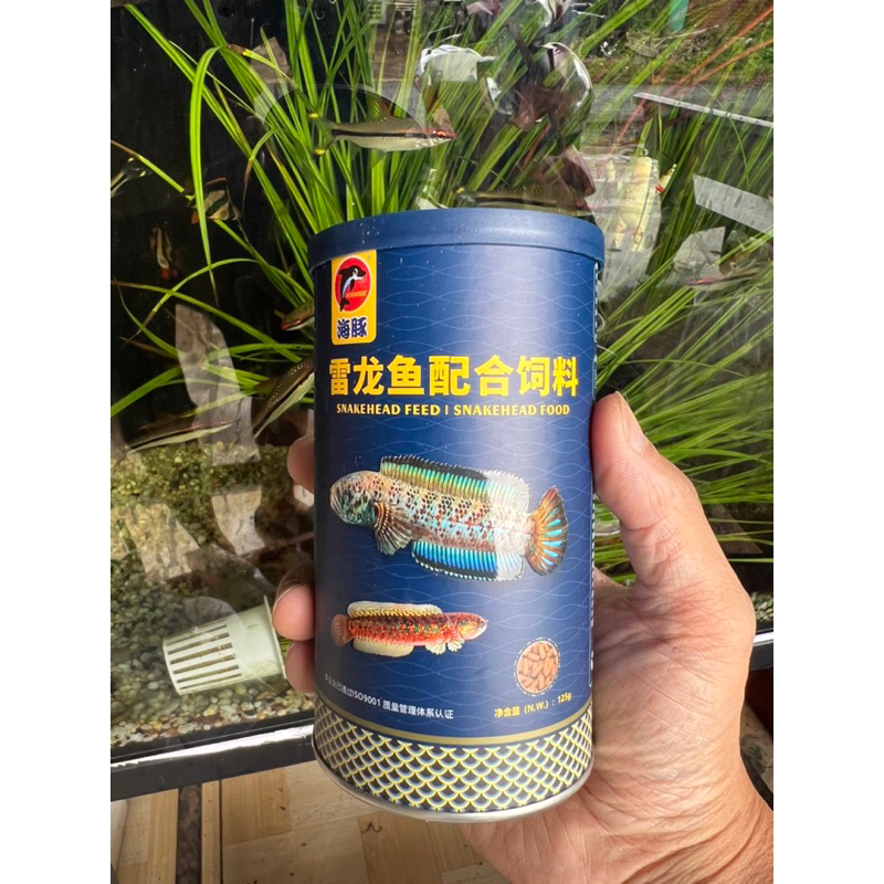 Cám Cá Lóc Porpoise 125g | Thức ăn cá lóc Hỗ trợ kích vẩy | Đậm vạch | Lên viền