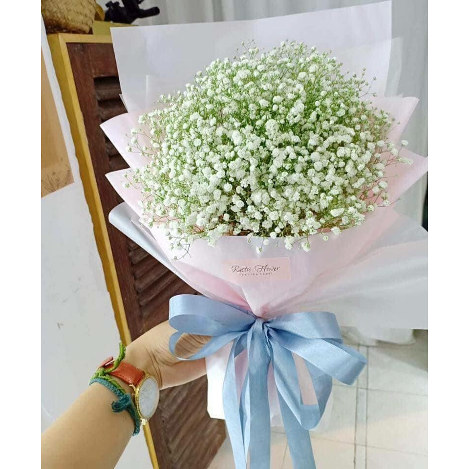 Hoa Baby giả - hoa baby sao decor trang trí nhà cửa CAM DECOR