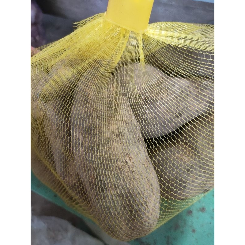 Khoai lang trắng củ vừa, bột, ngọt hàng mới về