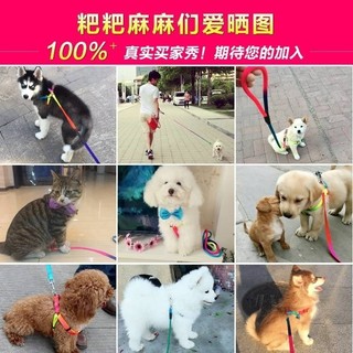 Dây dắt vòng cổ 7 màu co chó mèo