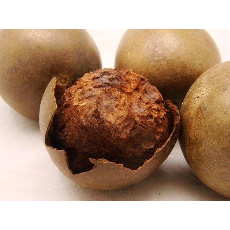 Hạt giống  cây la hán quả - gói 3 hạt