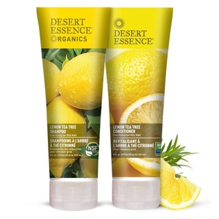 Dầu gội Desert Essence