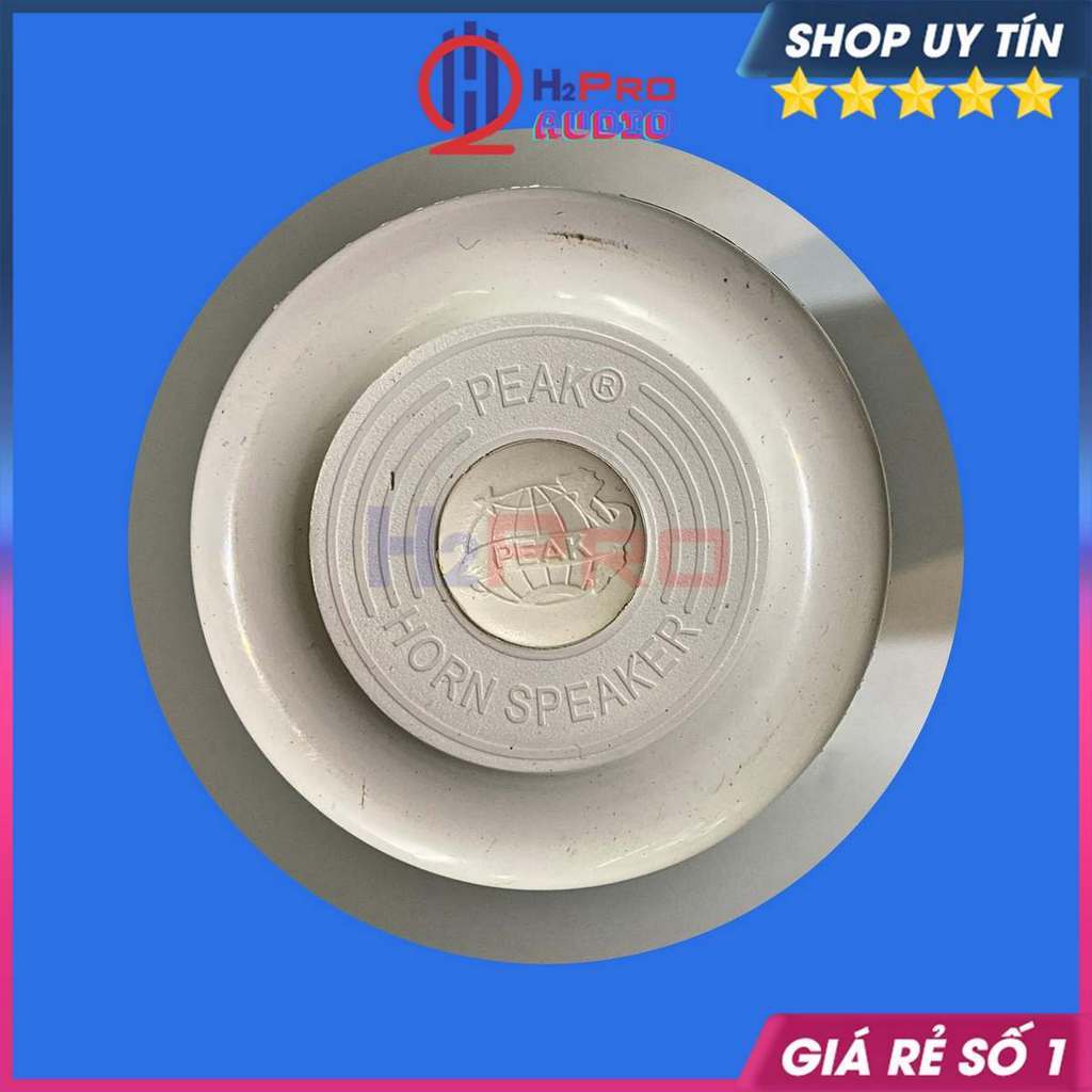 Loa Nén 90W Peak Phễu Nhôm 46Cm Vang Xa 2Km, Chống Nước , Loa Phóng Thanh Cao Cấp Công Suất Lớn-H2Pro Audio