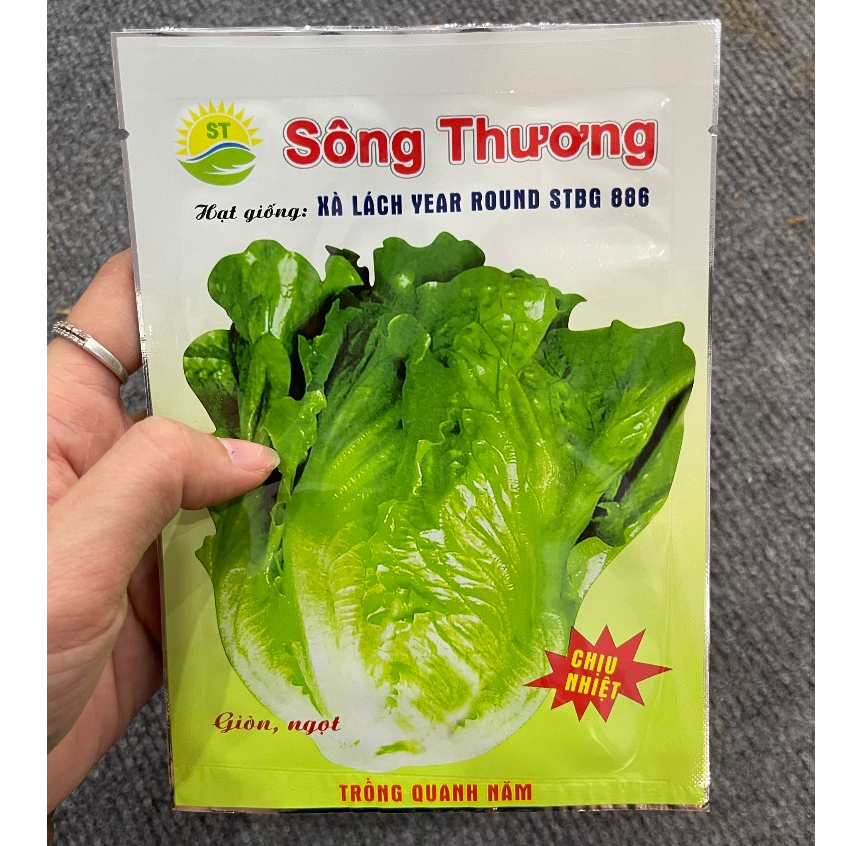 Hạt giống rau Xà lách Year roud  gói 2gram hàng chính hãng công ty đóng gói