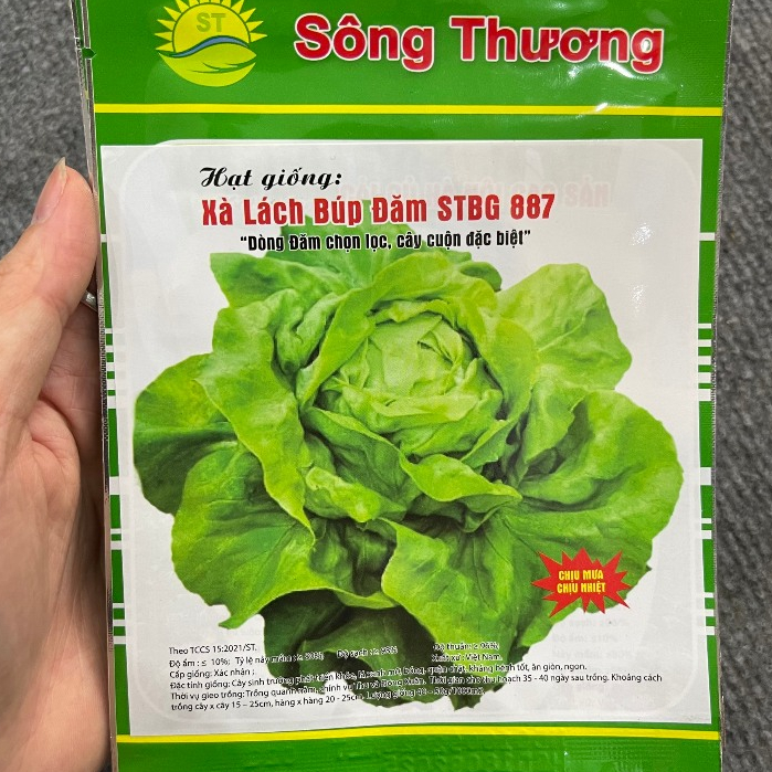 Hạt giống rau Xà lách búp đăm gói 2gram hàng chính hãng công ty đóng gói