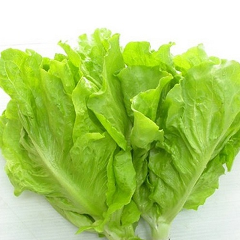 Hạt giống rau Xà lách Year roud  gói 2gram hàng chính hãng công ty đóng gói