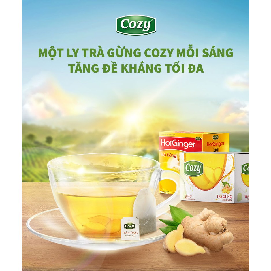 Trà Gừng Hòa Tan Hot Ginger Cozy Hương Vị Cay Ngọt Hỗ Trợ Làm Ấm Cơ Thể Tăng Cường Hệ Miễn Dịch (20 gói x 10g)