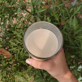 Bột hạt sen nguyên chất
