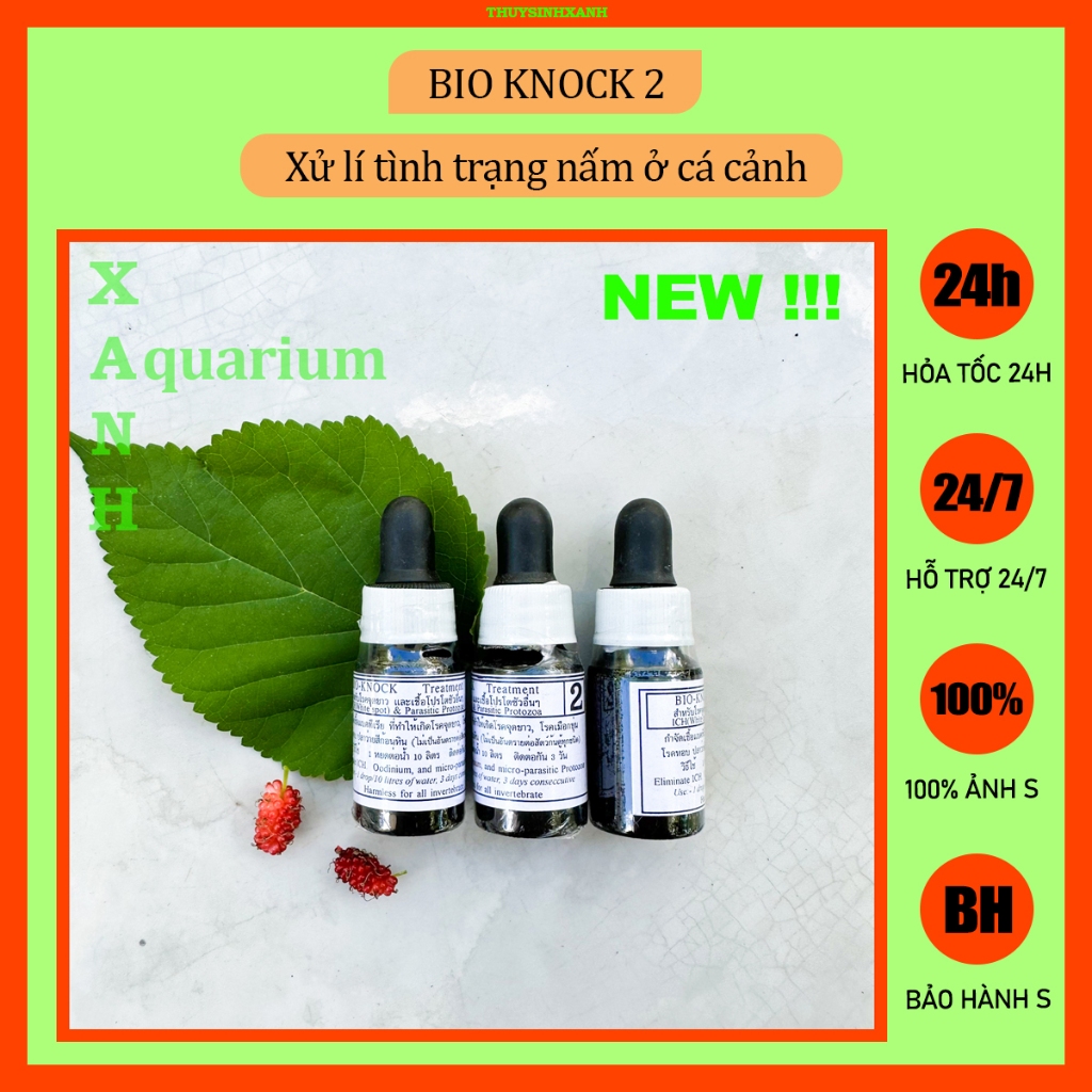 Bio Knock 2 ngừa nấm ở cá cảnh