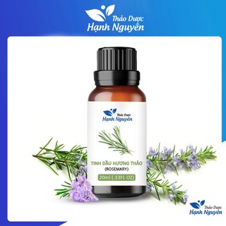 Tinh dầu Hương Thảo 100ml, tăng cường trí nhớ, hương nước hoa thiên nhiên, thơm phòng - Thảo dược Hạnh Nguyên