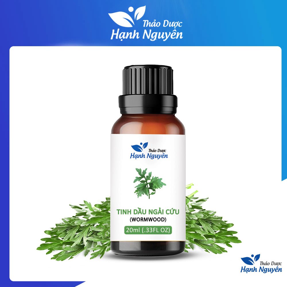 Tinh dầu Ngải Cứu 20ml, giảm đau bụng kinh, xoa bóp cổ vai gáy, cánh tay nhức mỏi - Thảo dược Hạnh Nguyên