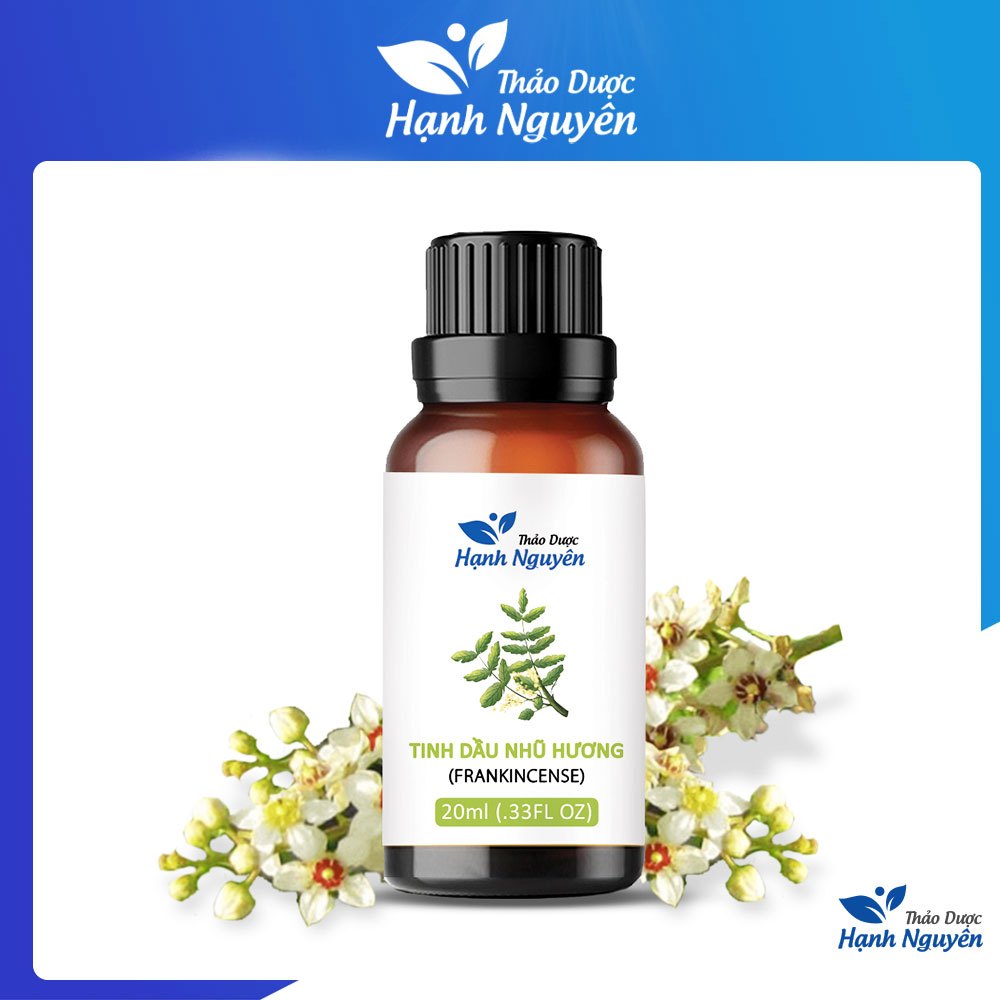 Tinh dầu Nhũ Hương 20ml, giảm say tàu xe, chống hôi miệng, ngừa sâu răng - Thảo dược Hạnh Nguyên