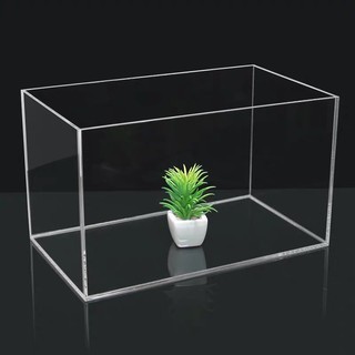 Hồ cá mica siêu trong theo yêu cầu