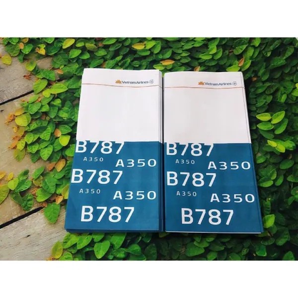 100 Túi nôn cho người say xe