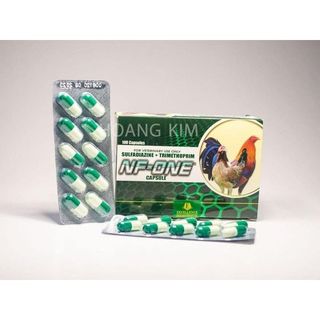 Nf one - Trị phân xanh trắng , phân xấu , thương hàn cho gà đá