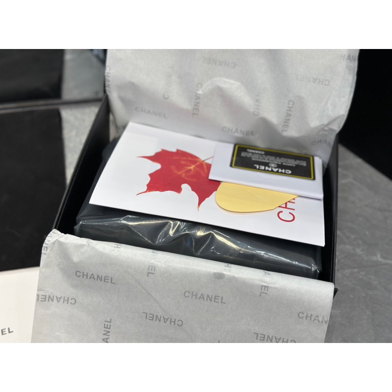 Túi đeo Xleo da hạt Phơ láp Chất da hạt caviar code chip Fullbox vip nam châm Size 19 CM w166-19