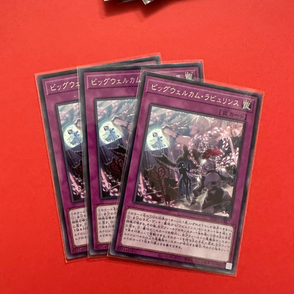 Big Welcome Labrynth