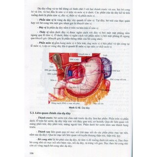 Sách - Giải phẫu hệ thống