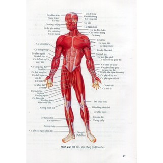 Sách - Giải phẫu hệ thống