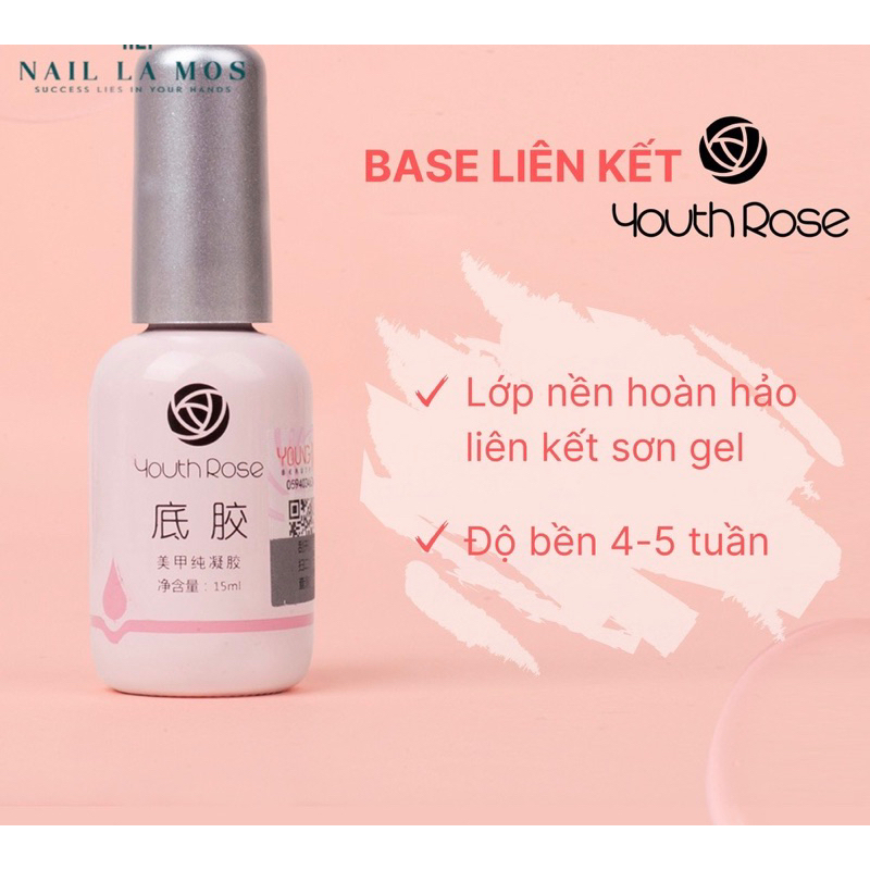 Base  hoa hồng chính hãng