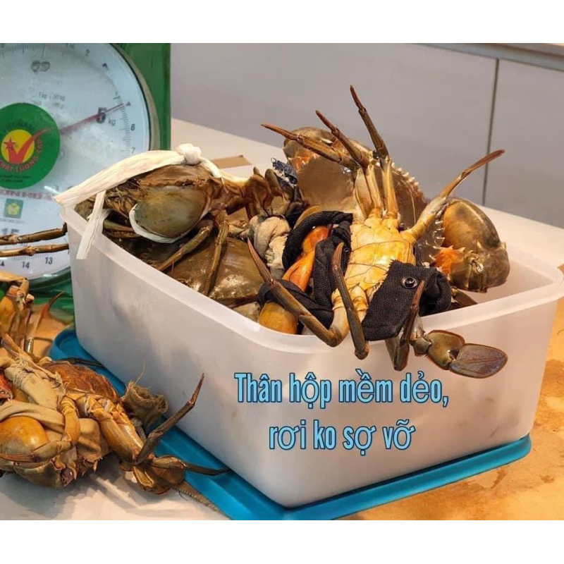 BỘ HỘP TRỮ ĐÔNG FREEZERMATE GEN II 5.7L