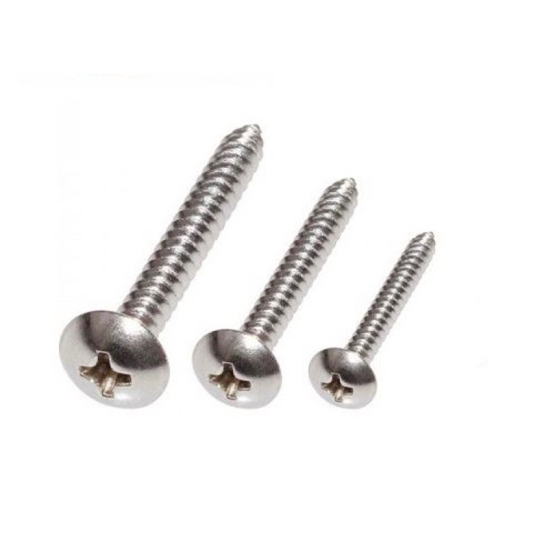 Vít Gỗ Đầu Dù Inox 304 - Vít Nhọn Đầu Dù 304