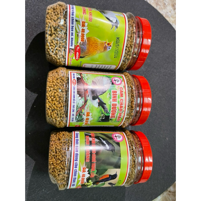 cám chim bình dương chào mào,mi,khướu,choè than,lửa…