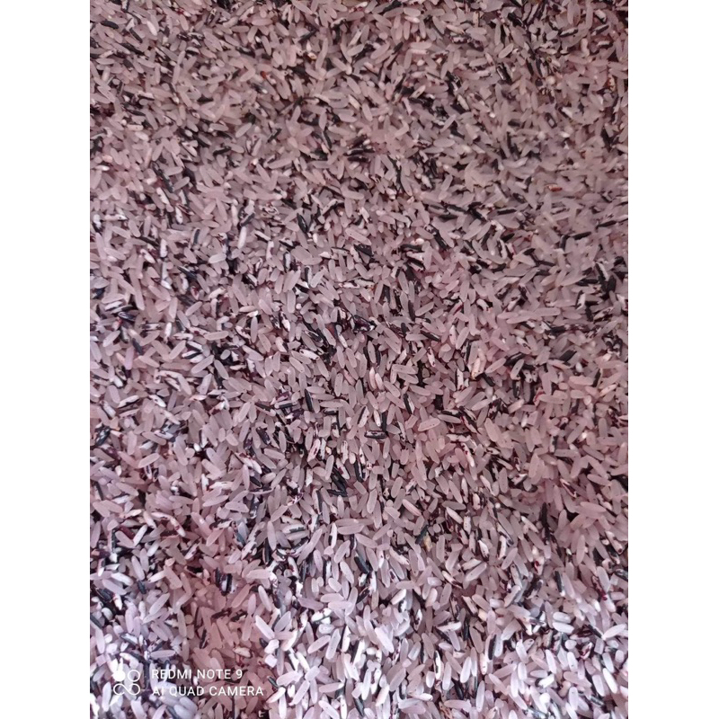 Gạo nương tím h’mong đóng bao 5kg