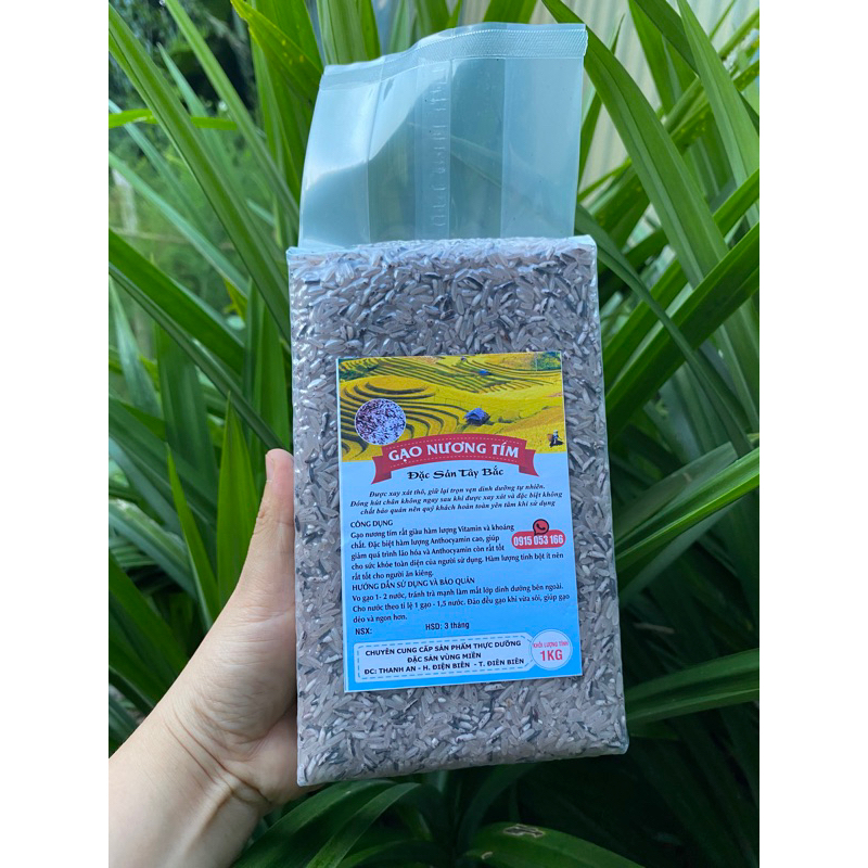 5kg gạo nương tím h’mong hút chân không