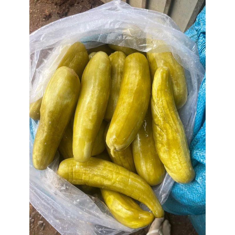 1 Kg_Dưa Gang Muối Chuẩn Vị Quê Bình Định