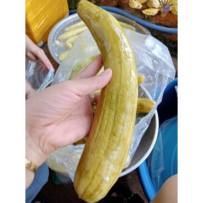 1 Kg_Dưa Gang Muối Chuẩn Vị Quê Bình Định