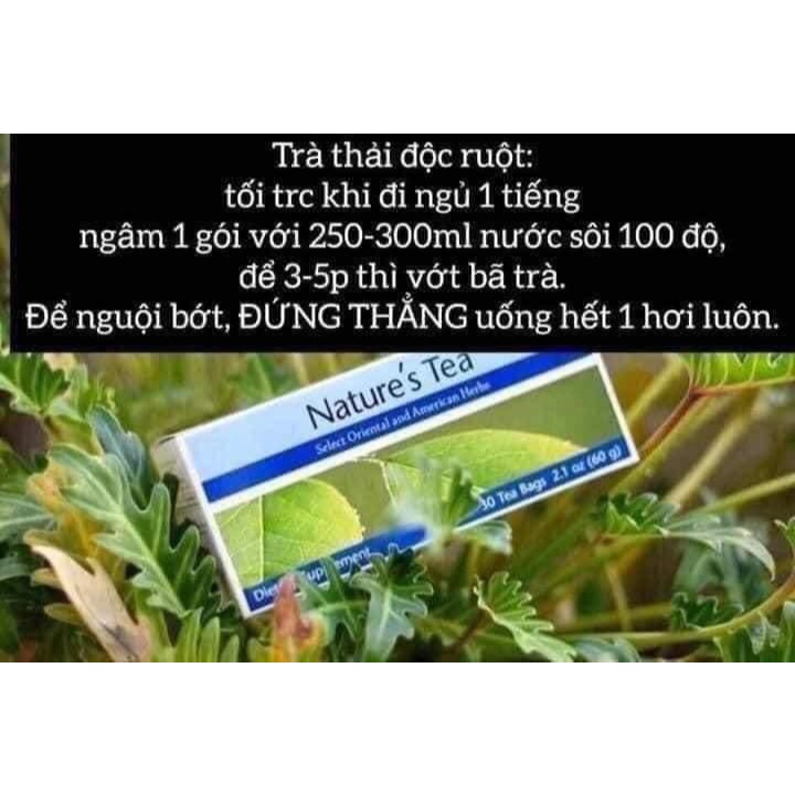 Tea túi lọc tea -Trà Thải độc ruột