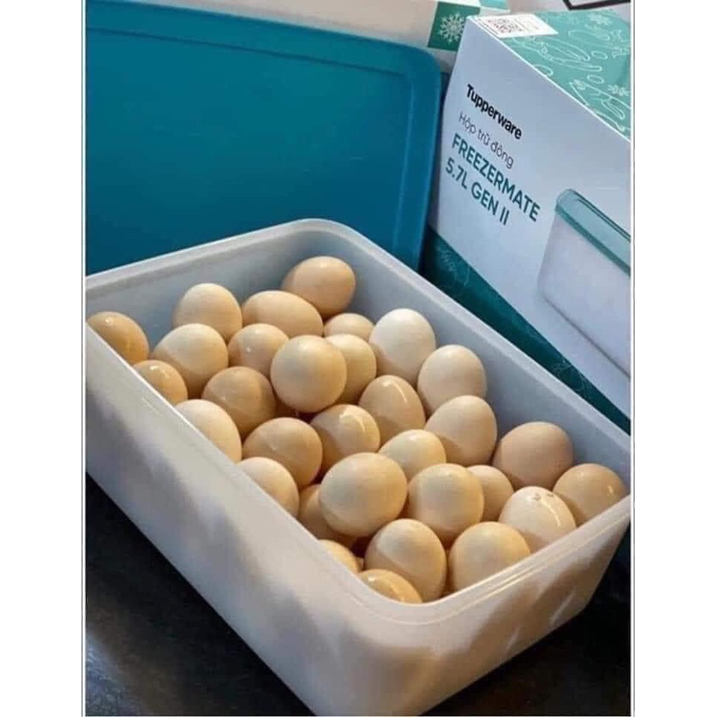 BỘ HỘP TRỮ ĐÔNG FREEZERMATE GEN II 5.7L