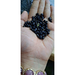 Hạt đỗ đen xanh lòng 500g - 1kg