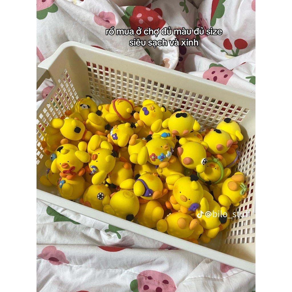 Sỉ hoa đất set tự khô hàng có sẵn, order