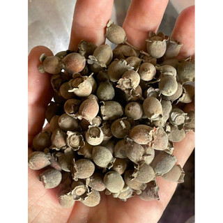 1kg quả sim khô
