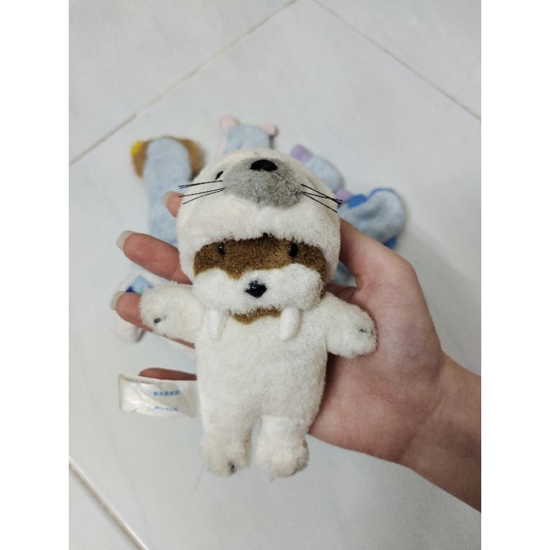Gấu cosplay