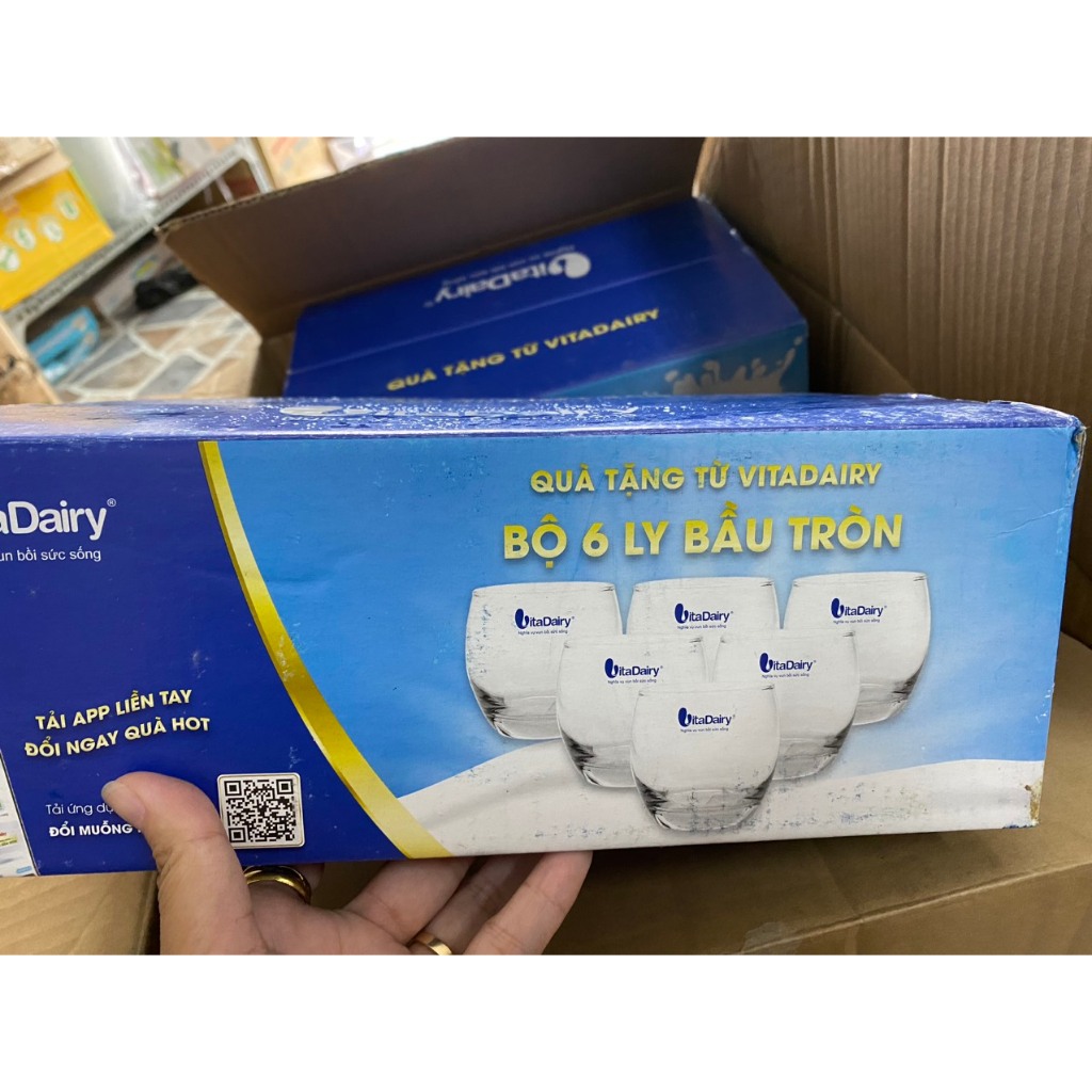 BỘ 6 LY BẦU TRÒN QUÀ TẶNG SỮA VITADAILY