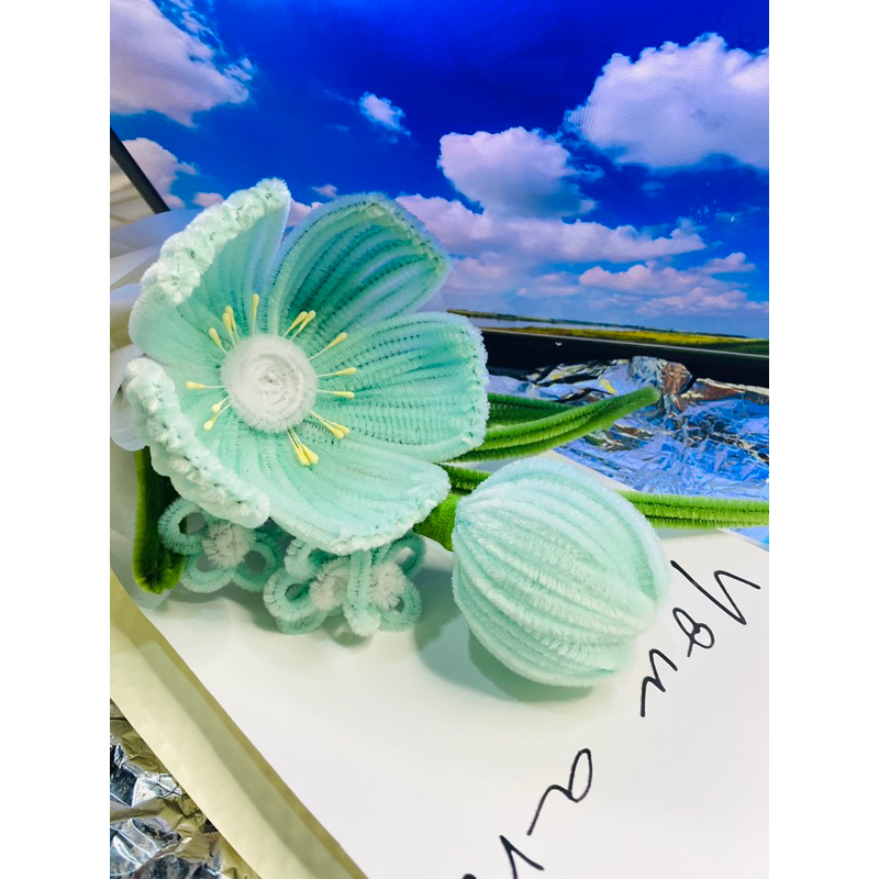 Hoa Anh Túc & Lưu Ly