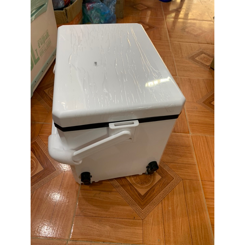 Thùng câu đài mini 20lit full pát