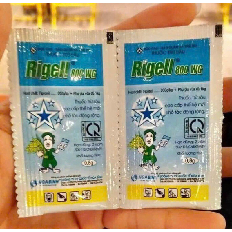 Diệt kiến gián côn trùng