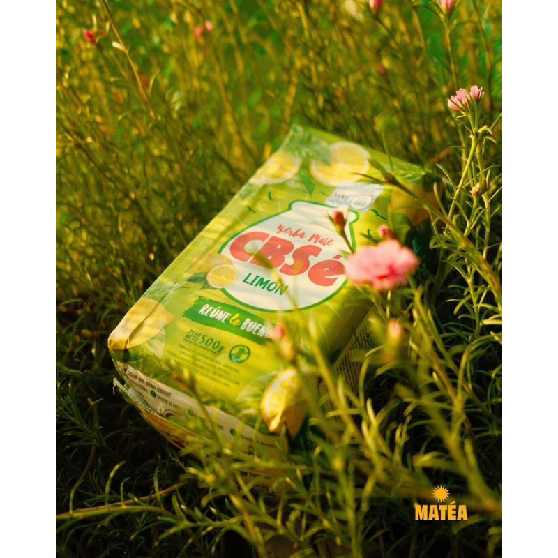 Túi dùng thử 100gram - Trà Nam Mỹ Yerba Mate - Tặng kẹp trà + túi lọc