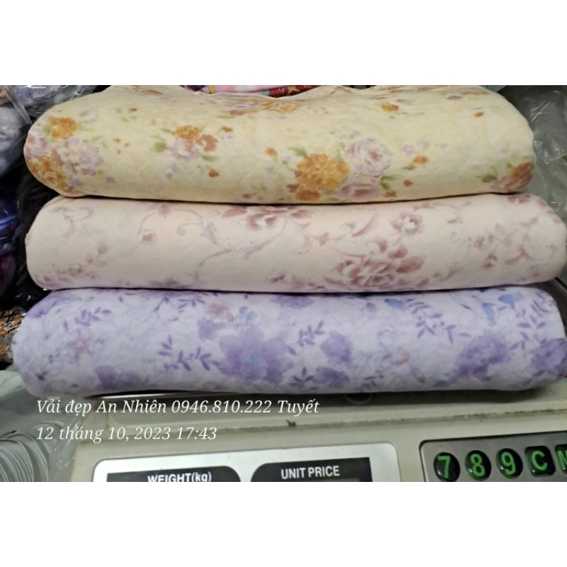 Sét 6m thun cotton Nhật Giá 150k