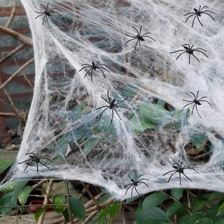 Tơ nhện kèm Nhện giả trang trí Halloween