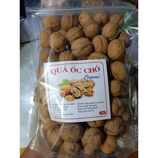  Quả óc chó nguyên quả hàng ngon 1 kg   Óc chó giấy  