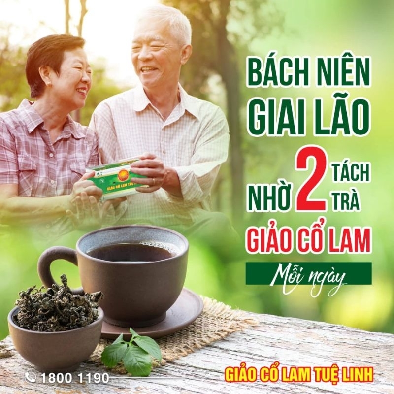 Trà Giảo Cổ Lam Tuê Linh 25 túi lọc_giảm mỡ máu, hỗ trợ điều hoà huyết áp, tim mạch